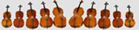 violoncelles de différentes tailles